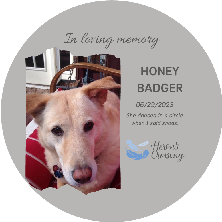 Honey Badger 1(2)