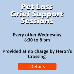 Details on pet loss grief support sessions